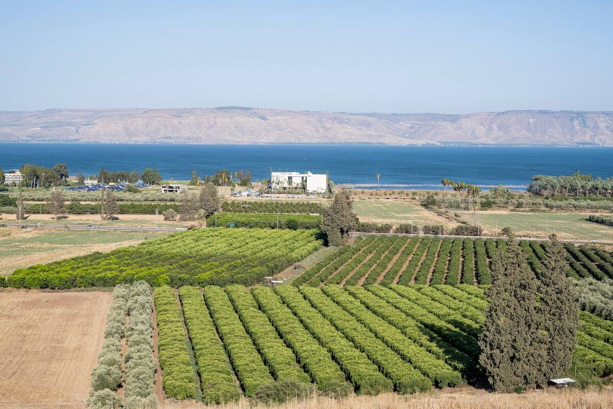 Villa Calma, HaShaked 68, Migdal — photo 4