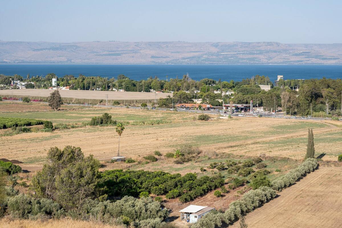 Villa Calma, HaShaked 68, Migdal — photo 33