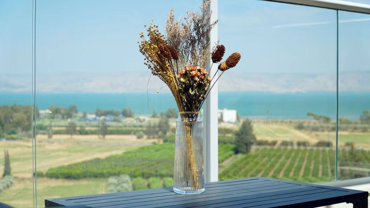 Villa Calma, HaShaked 68, Migdal — photo 52