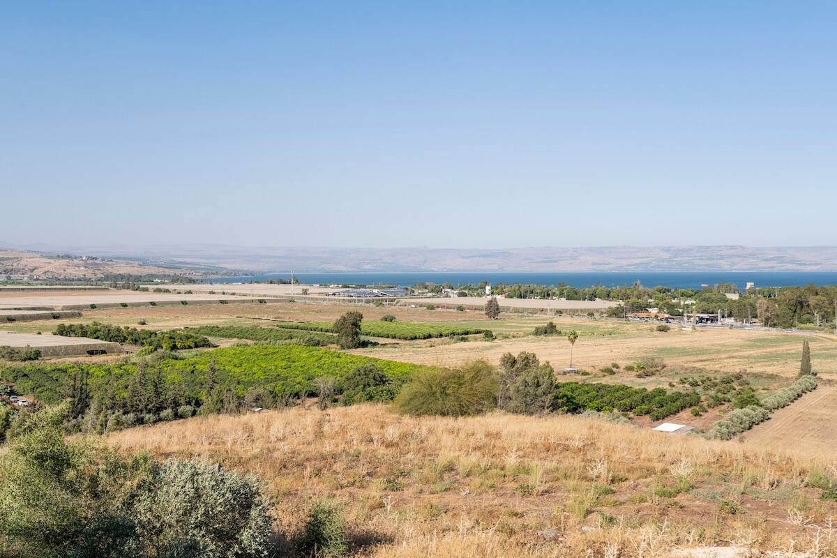 Villa Calma, HaShaked 68, Migdal — photo 59